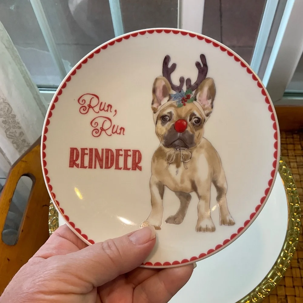 Pier 1 Christmas Dog Plates 2 Total NWOT